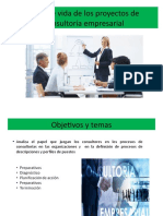 Ciclo de Vida de Los Proyectos de Consultoría Empresarial