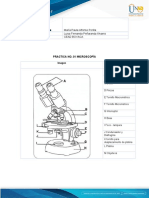 Anexo Entrega Informe Prácticas Biología