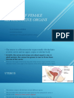 Anatomy of Female Reproductive Organs: Dr.M.Mahalakshmi Assistant Professor Government Chengalpattu Medical College