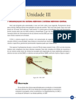 ANATOMIA Livro-Texto - Unidade III