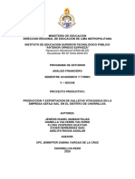 Formato para Elaborar El Tap-Proyecto Galleta Vitaquigua