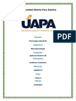 Tarea 4 de Neuropsicologia