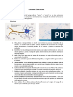 Comunicación Neuronal