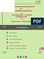 Cicatrización, Tipos y Factores Q Afectan La Cicatrización