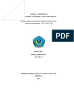 Laporan Praktikum Sel Volta Xiimipa3 Fadhlan Abdurrahman