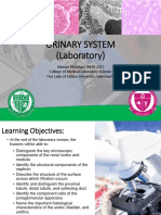 Hhis221 Lab - Urinary System