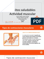 Actividad Muscular