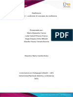 Momento 2 - Confronto El Concepto de Resiliencia - Grupo 34