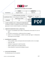 Guía N°2 - Determinación Macroscópica de Rocas Ígneas