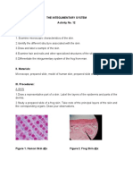 The Integumentary System