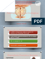 Patologia Benigna Urologica