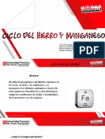 Ciclo Del Hierro y Manganeso