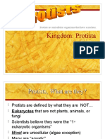 Kingdom: Protista: Protists Are Unicellular Organisms That Have A Nucleus