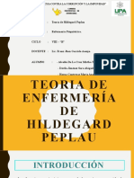 Grupo 8 Teoria de Enfermería de Hildegard Peplau