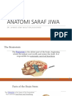 K3. Anatomi Sistem Limbik, ARAS, Saraf Tepi, Dalam Aspek Neurologis (Dr. Ahmad Azmi Nasution, M.Biomed)