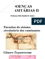 Doenças Parasitárias Adaptada