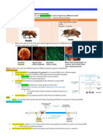 BIOCORE 1 Midterm 2 Study Guide