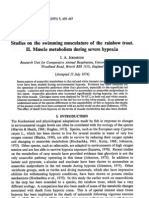 Studies On The Swimming Musculature of The Rainbow Trout. II. Muscle Metabolism During Severe Hypoxia