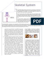 Assignment 1 Skeletal System