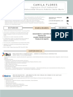 CV - Camila Flores - Ingeniera Civil Industrial