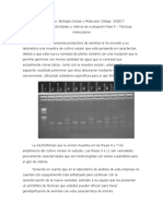 Caso Tecnicas Moleculares