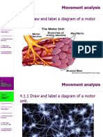 4.1.1 Draw and Label A Diagram of A Motor Unit.: Movement Analysis