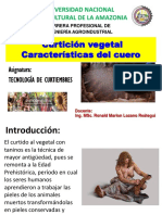 Clase1-Curtición Vegetal-Características Del Cuero