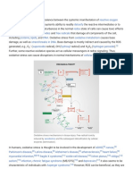 Oxidative Stress - Wikipedia