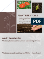 Plant Life Cycles