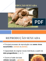 3.reprodução Sexuada