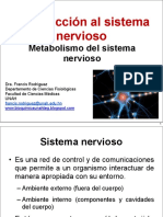 1 - Introducción Al Sistema Nervioso