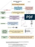 Informe de Elasticidad