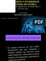 Facultad de Medicina Veterinaria Y Zootecnia: "Sistema Nervioso