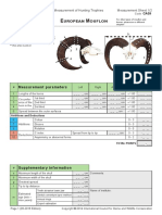 European Mouflon - English - CA09