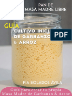 Guía Cultivo Inciador de Garbanzo, Masa Madre Libre