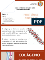 Proteinas Fibrosas