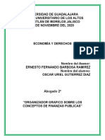 Organizador Grafico de Conceptos de Fianzas Publicas