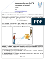 Guía No. 2 de Ciencias Naturales Grado Quinto