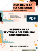 Sentencia TC Recursos Naturales