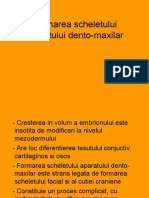 05-Formarea Scheletului Aparatului Dento-Maxilar