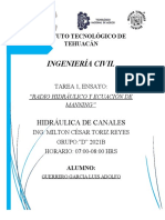 Tarea 1 Ensayo