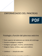 4 Páncreas