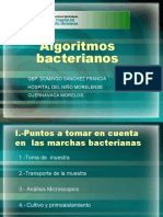 Algoritmos Bacterianos