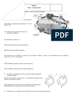 Ficha - Ciclos de Vida