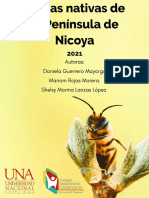 Abejas Nativas