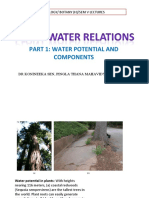 Part 1: Water Potential and Components: CBCS/ Plant Physiology/ Botany (H) /sem V Lectures