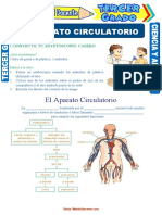 El Aparato Circulatorio para Tercer Grado de Primaria