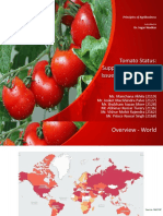 Tomato Status: Supply & Value Chain, Issues & Opportunities