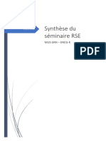 Synthèse Du Cours RSE