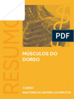 60d0a63c6e102 MusculosDoDorso